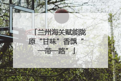 兰州海关赋能陇原“甘味”香飘“一带一路”