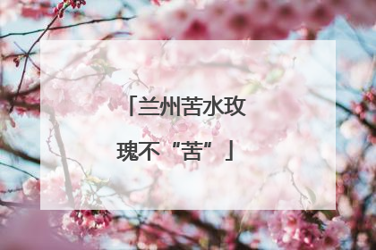 兰州苦水玫瑰不“苦”