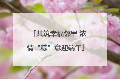 共筑幸福邻里 浓情“粽”意迎端午