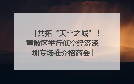 共拓“天空之城”！黄陂区举行低空经济深圳专场推介招商会
