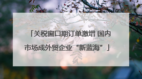 关税窗口期订单激增 国内市场成外贸企业“新蓝海”