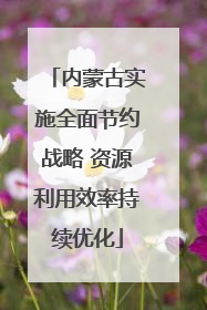 内蒙古实施全面节约战略 资源利用效率持续优化