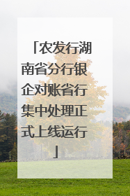 农发行湖南省分行银企对账省行集中处理正式上线运行