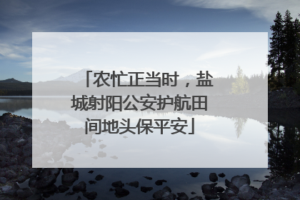 农忙正当时，盐城射阳公安护航田间地头保平安