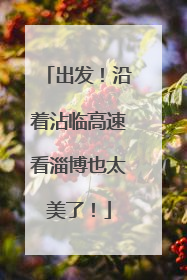 出发！沿着沾临高速看淄博也太美了！