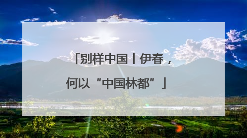 别样中国丨伊春，何以“中国林都”