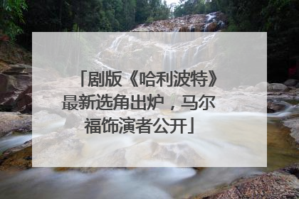 剧版《哈利波特》最新选角出炉，马尔福饰演者公开