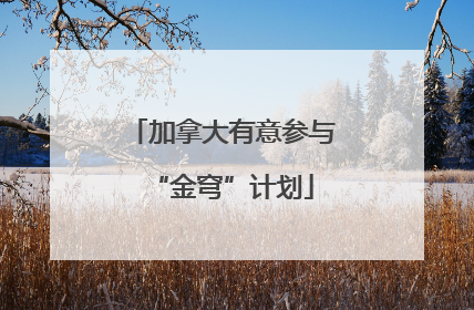 加拿大有意参与“金穹”计划