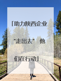 助力陕西企业“走出去” 他们在行动