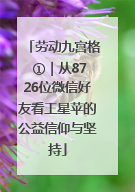 劳动九宫格 ①｜从8726位微信好友看王星苹的公益信仰与坚持