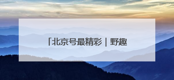 北京号最精彩｜野趣盎然！京城这个生态桥连通两大网红公园