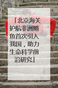 北京海关护航非洲鳉鱼首次引入我国，助力生命科学前沿研究