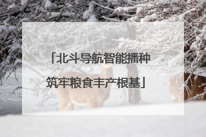 北斗导航智能播种 筑牢粮食丰产根基