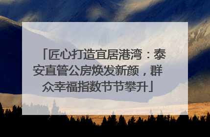 匠心打造宜居港湾：泰安直管公房焕发新颜，群众幸福指数节节攀升