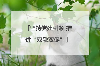 坚持党建引领 推进“双融双促”