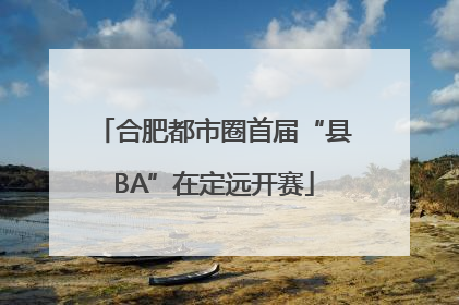 合肥都市圈首届“县BA”在定远开赛