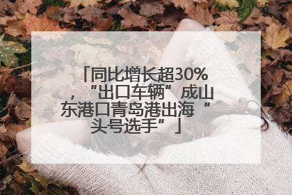 同比增长超30%，“出口车辆”成山东港口青岛港出海“头号选手”