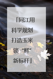同江用科学规划打造玉米锁“鲜”新标杆