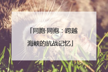 同胞·同袍：跨越海峡的抗战记忆