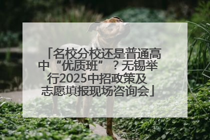名校分校还是普通高中“优质班”？无锡举行2025中招政策及志愿填报现场咨询会