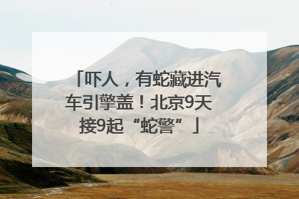 吓人，有蛇藏进汽车引擎盖！北京9天接9起“蛇警”
