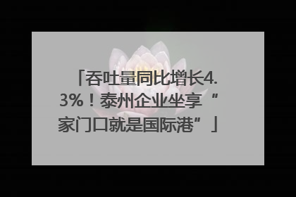 吞吐量同比增长4.3%！泰州企业坐享“家门口就是国际港”