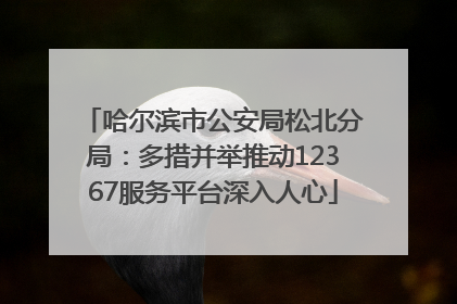 哈尔滨市公安局松北分局：多措并举推动12367服务平台深入人心