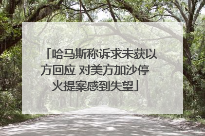 哈马斯称诉求未获以方回应 对美方加沙停火提案感到失望