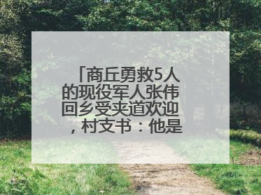 商丘勇救5人的现役军人张伟回乡受夹道欢迎，村支书：他是本村的骄傲