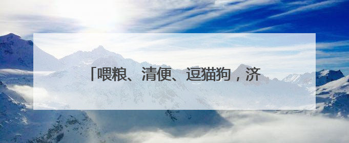 喂粮、清便、逗猫狗，济南有帮“上门宠托师”