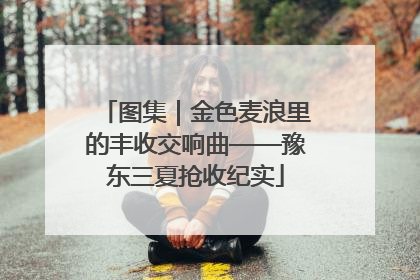 图集｜金色麦浪里的丰收交响曲——豫东三夏抢收纪实