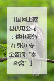 国网上蔡县供电公司：供电服务在身边 安全咨询“零距离”