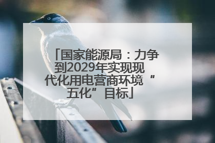 国家能源局：力争到2029年实现现代化用电营商环境“五化”目标
