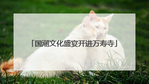 国潮文化盛宴开进万寿寺