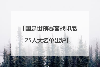 国足世预赛客战印尼25人大名单出炉
