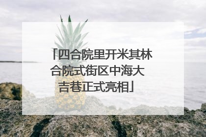 四合院里开米其林 合院式街区中海大吉巷正式亮相