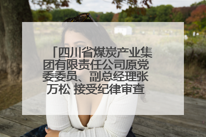 四川省煤炭产业集团有限责任公司原党委委员、副总经理张万松 接受纪律审查和监察调查