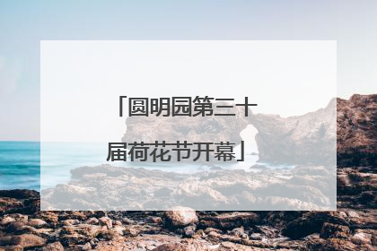 圆明园第三十届荷花节开幕