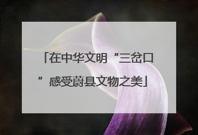 在中华文明“三岔口”感受蔚县文物之美