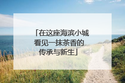 在这座海滨小城 看见一抹茶香的传承与新生