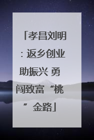 孝昌刘明：返乡创业助振兴 勇闯致富“桃”金路