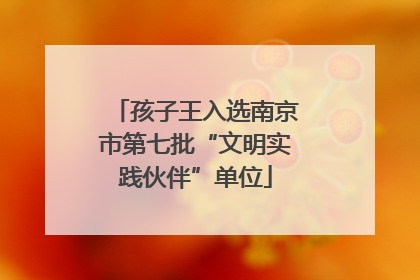 孩子王入选南京市第七批“文明实践伙伴”单位