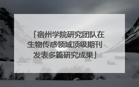 宿州学院研究团队在生物传感领域顶级期刊发表多篇研究成果