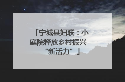 宁城县妇联：小庭院释放乡村振兴“新活力”