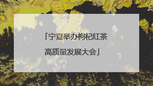 宁夏举办枸杞红茶高质量发展大会