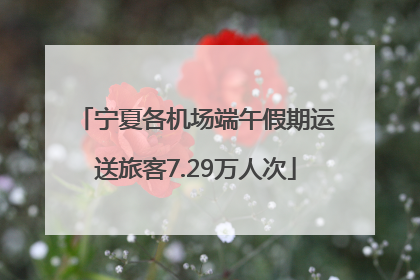 宁夏各机场端午假期运送旅客7.29万人次