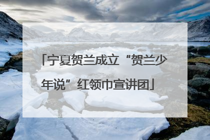 宁夏贺兰成立“贺兰少年说”红领巾宣讲团