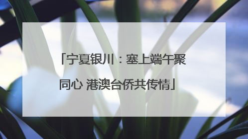 宁夏银川：塞上端午聚同心 港澳台侨共传情
