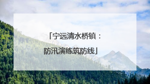 宁远清水桥镇：防汛演练筑防线