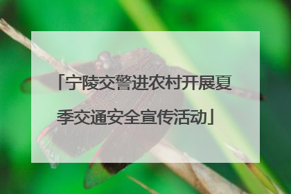 宁陵交警进农村开展夏季交通安全宣传活动